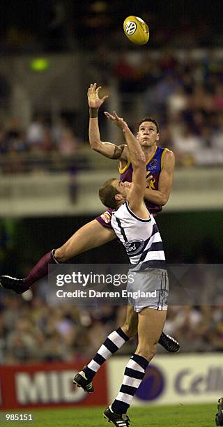 Beau McDonald of Brisbane takes a mark against Steven King of Geelong during the round six AFL match between the Brisbane Lions and the Geelong Cats...