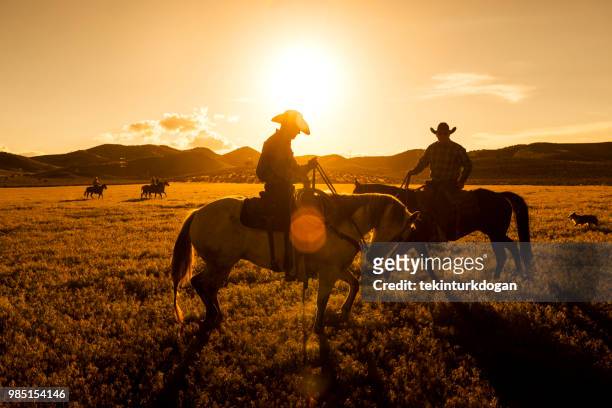 cowboy a cavallo nella santaquin valley di salt lake city slc utah usa - cowboy sillouette foto e immagini stock