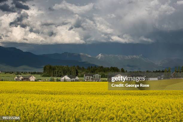 An unusally cool and wet start to summer is viewed on June 22 near Kalispell, Montana. Home to Glacier National Park, Flathead Lake, and dozens of...