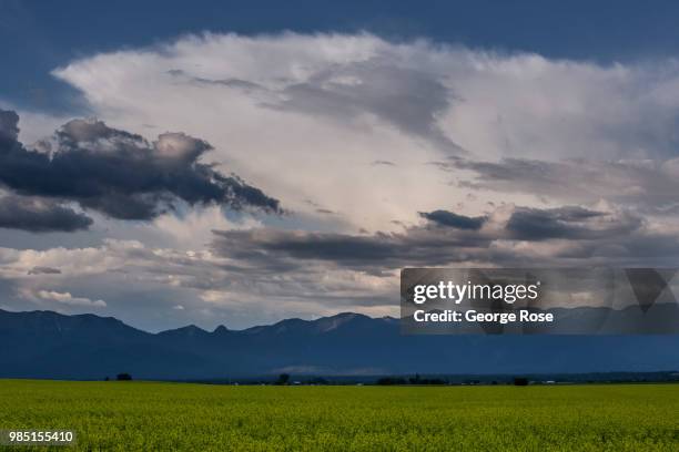 An unusally cool and wet start to summer is viewed on June 22 near Kalispell, Montana. Home to Glacier National Park, Flathead Lake, and dozens of...