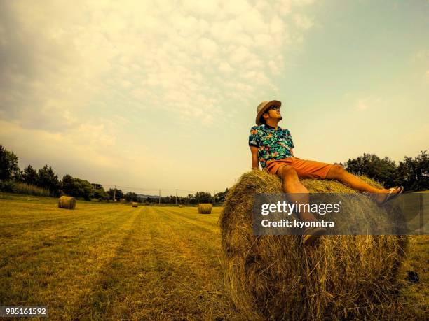 hay stack in japan - kyonntra stock pictures, royalty-free photos & images
