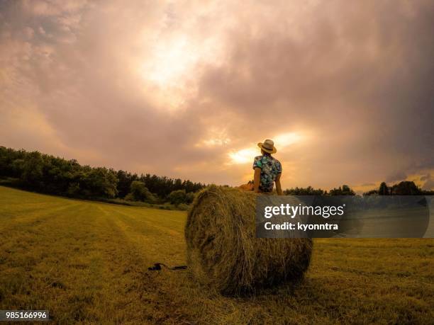 hay stack in japan - kyonntra stock pictures, royalty-free photos & images