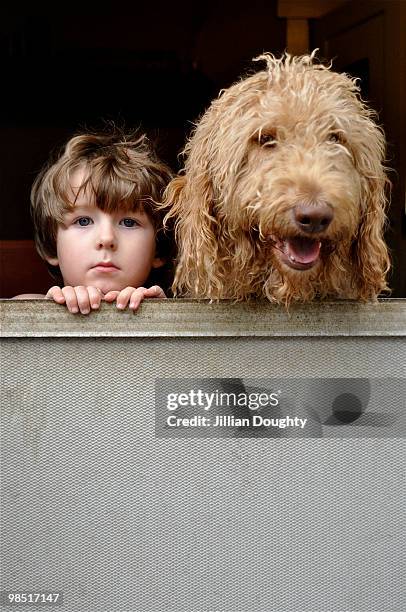 screen door - newfamily stock pictures, royalty-free photos & images