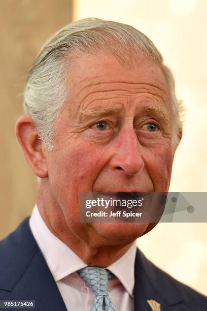 Prince Charles, Prince of Wales gives a speech as he attends The Prince's Foundation School of Traditional Arts degree show in Shoreditch on June 27,...