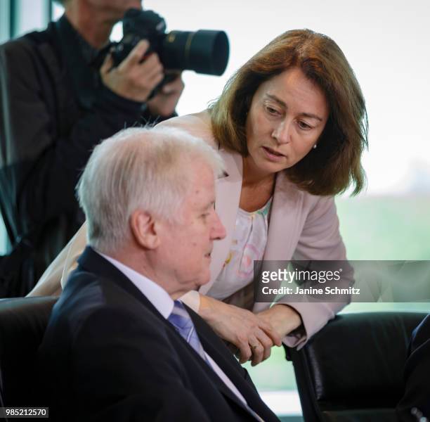 German Interior Minister Horst Seehofer and German Justice Minister Katarina Barley in a conversation before the Weekly Government Cabinet Meeting on...
