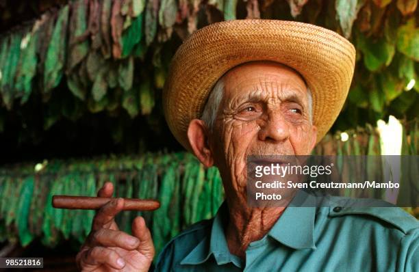 Cuba`s most famous tobacco grower, Alejandro Robaina poses with a cigar at his farm on December 26 in San Juan y Martinez, Cuba. It was reported that...