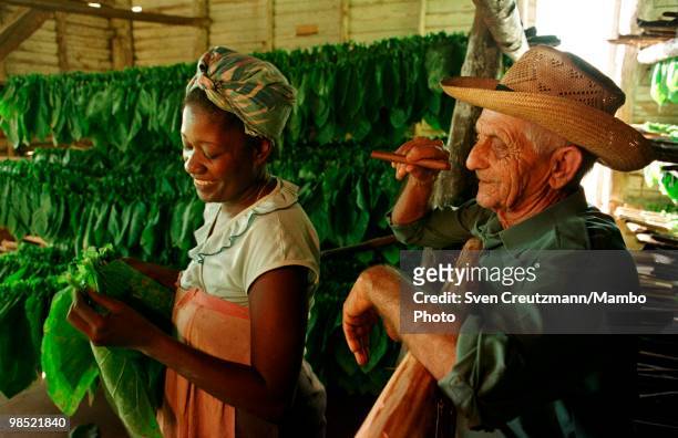 Cuba`s most famous tobacco grower, Alejandro Robaina , talks with an employee at his farm on December 26 in San Juan y Martinez, Cuba. It was...