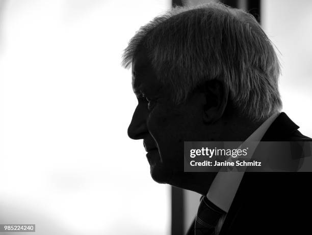 German Interior Minister Horst Seehofer during a conversation before the Weekly Government Cabinet Meeting on June 27, 2018 in Berlin, Germany.