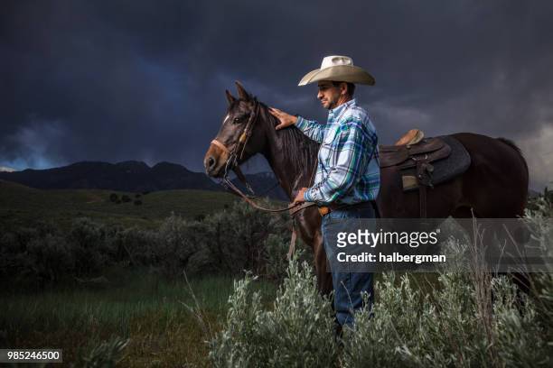 ir de compras radical relajado 558 fotos e imágenes de Cowboy Hat Profile - Getty Images