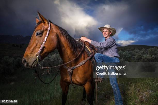 junger cowboy pferd wird vorbereitet - portrait hobby freizeit reiten stock-fotos und bilder