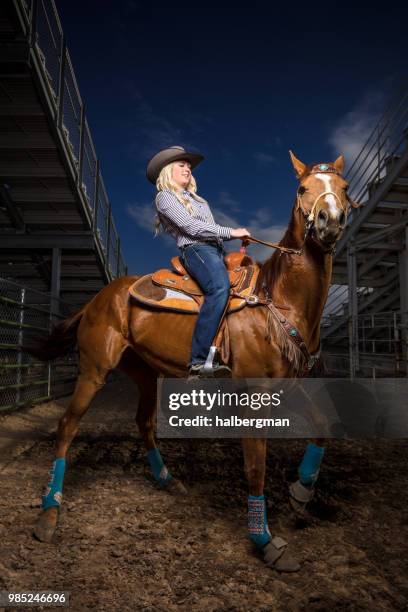 Dramatic Lighting Rodeo 299 Horse Dramatic Lighting Stock Photos, High-Res Pictures, and Images ...