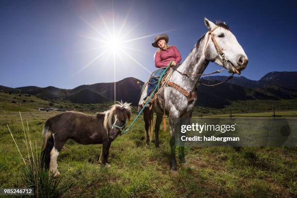 smiling cowgirl on horseback with miniature horse - miniature horse stock pictures, royalty-free photos & images