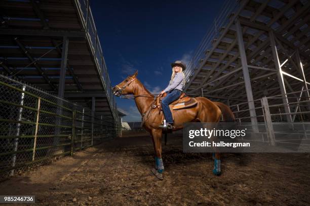 Dramatic Lighting Rodeo 298 Horse Dramatic Lighting Stock Photos, High-Res Pictures, and Images ...