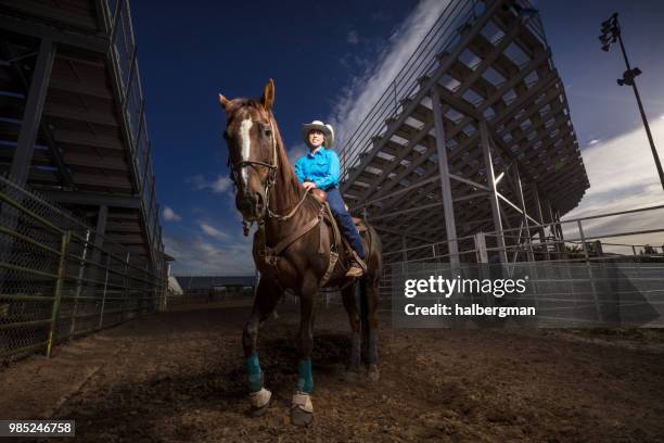 Dramatic Lighting Rodeo 400 Horse Dramatic Lighting Stock Photos, High-Res Pictures, and Images ...