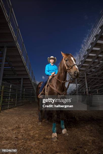 Dramatic Lighting Rodeo Horse Dramatic Lighting Photos and Premium High Res Pictures - Getty Images