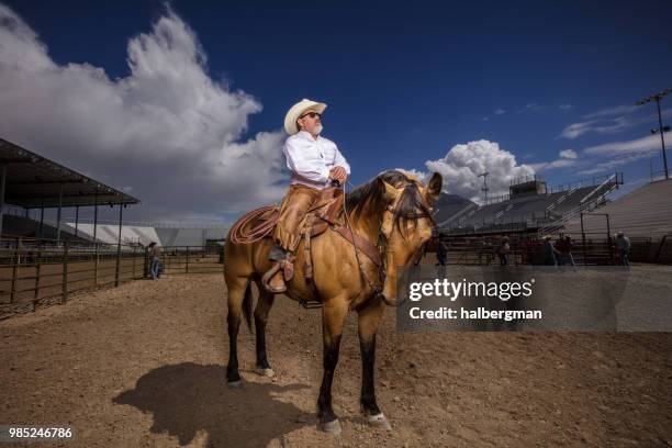 Dramatic Lighting Rodeo 400 Horse Dramatic Lighting Stock Photos, High-Res Pictures, and Images ...