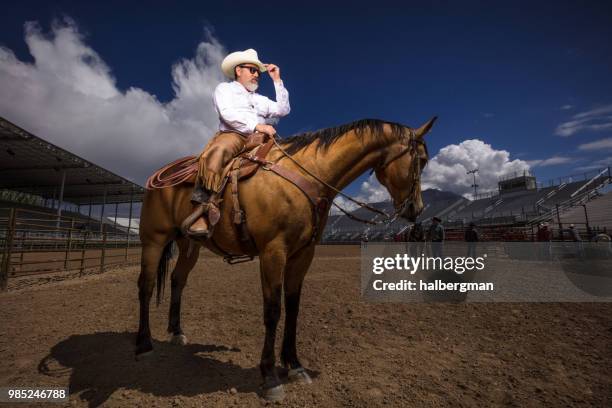 Dramatic Lighting Rodeo 400 Horse Dramatic Lighting Stock Photos, High-Res Pictures, and Images ...