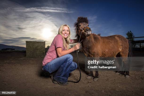 grinning woman with miniature horse - miniature horse stock pictures, royalty-free photos & images