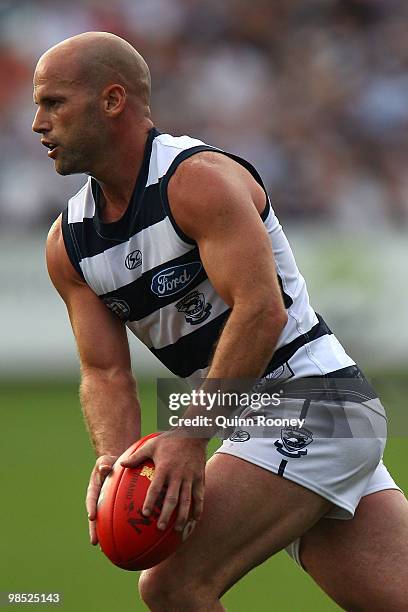 Paul Chapman of the Cats kicks during the round four AFL match between the Geelong Cats and the Port Adelaide Power at Skilled Stadium on April 18,...