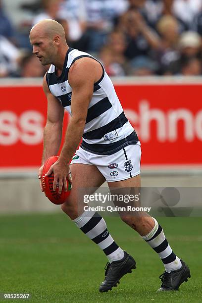 Paul Chapman of the Cats kicks during the round four AFL match between the Geelong Cats and the Port Adelaide Power at Skilled Stadium on April 18,...