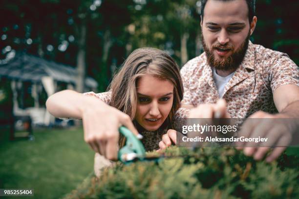 cute couple trimming hedges in backyard - hedge fonds stock pictures, royalty-free photos & images