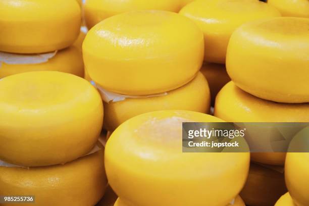 stack of gouda cheese - gouda stock pictures, royalty-free photos & images