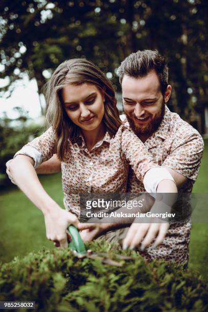young couple clipping garden hedges together - hedge fonds stock pictures, royalty-free photos & images