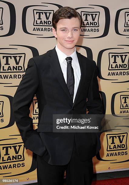 Actor Chris Colfer attends the 8th Annual TV Land Awards held at Sony Studios on April 17, 2010 in Culver City, California.