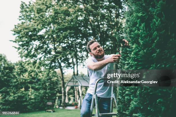 handsome male clipping tree branches in backyard - hedge clippers stock pictures, royalty-free photos & images
