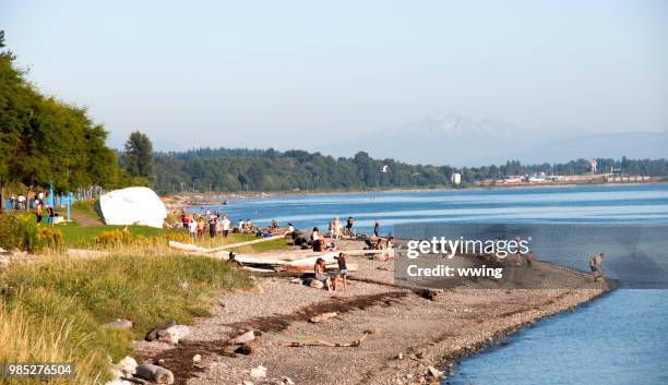 the beach at white rock british columbia - beachcombing stock pictures, royalty-free photos & images