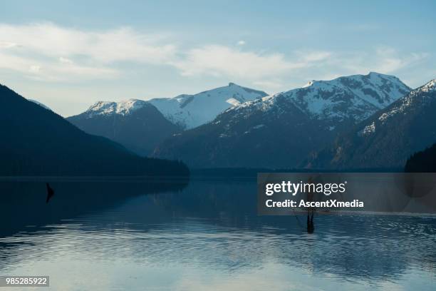 vrouw peddelen op een prachtig bergmeer - british columbia coast mountains stockfoto's en -beelden
