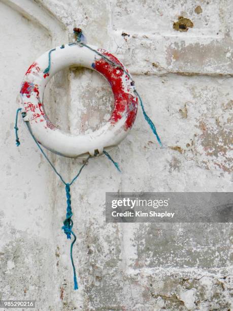 Preserver 3,820 The Preserver Stock Photos, High-Res Pictures, and Images - Getty ...