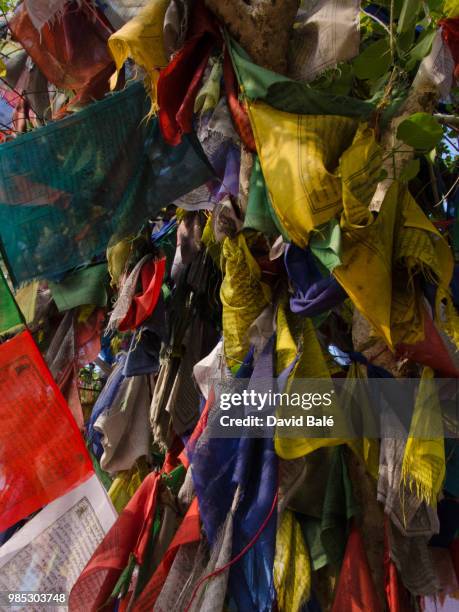 prayer flags - lumbini - nepal - buddhism at lumbini stock pictures, royalty-free photos & images