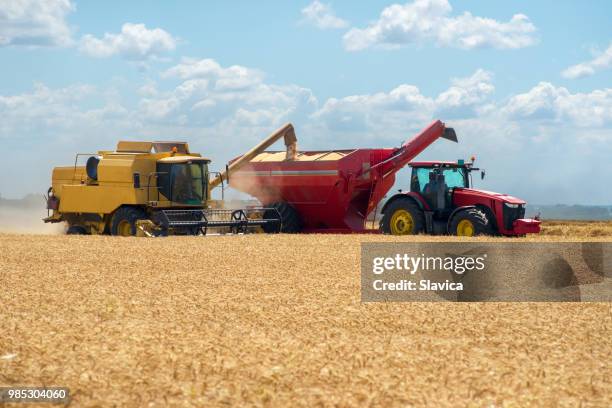 tarwe oogst op een zonnige zomerdag - combine day 2 stockfoto's en -beelden