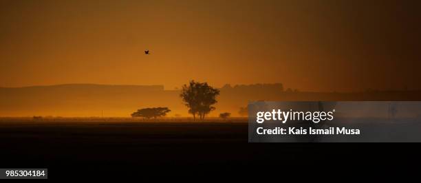 amanhecer em miraguaia - amanhecer stock pictures, royalty-free photos & images