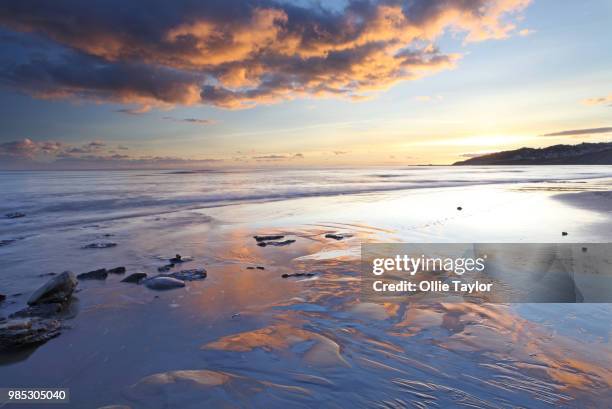 lyme regis - sandy taylor stock pictures, royalty-free photos & images