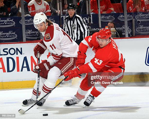 Martin Hanzal of the Phoenix Coyotes and Darren Helm of the Detroit Red Wings battle for the loose puck during Game Three of the Eastern Conference...