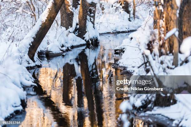 creek still flowing unfrozen. - unfrozen stock pictures, royalty-free photos & images