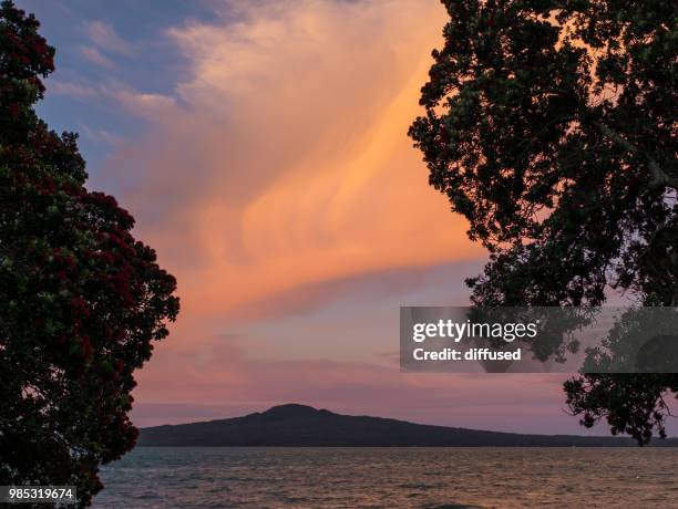 rangitoto and pohutakawas at sunset - rangitoto stock pictures, royalty-free photos & images