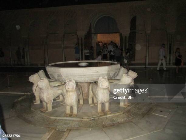 alhambra, patio de los leones fountain at night - leones foto e immagini stock