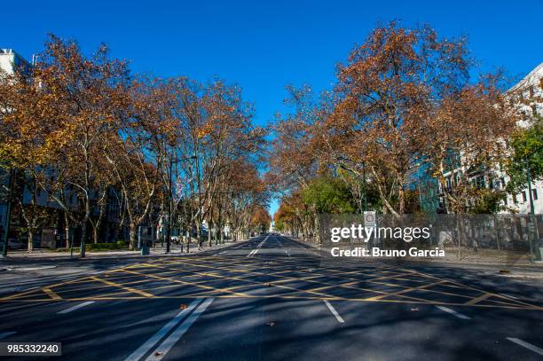 avenida da liberdade, empty. - avenida stock pictures, royalty-free photos & images