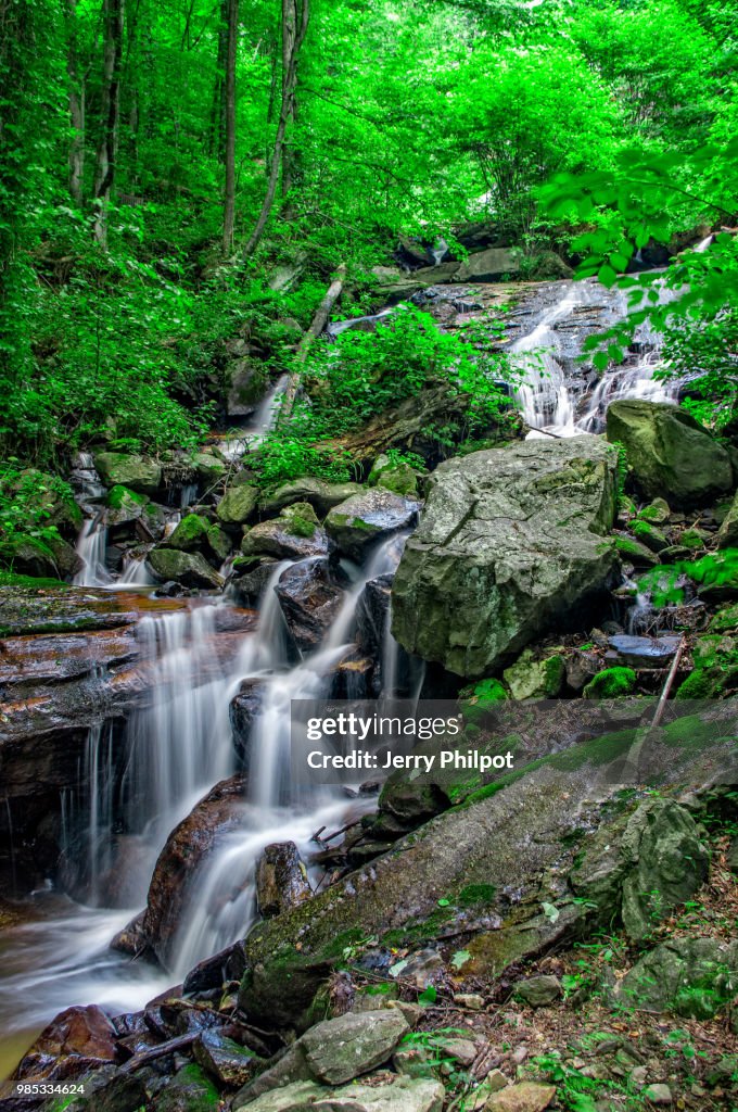 Lower Amicalola falls