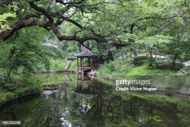 changdeokgung palace - changdeokgung palace stock pictures, royalty-free photos & images