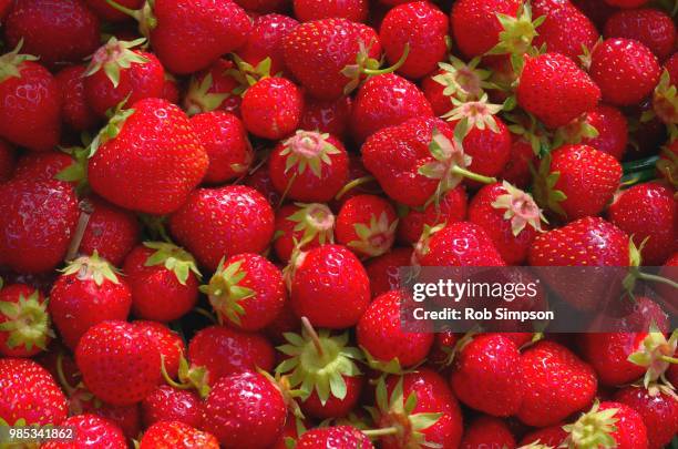 strawberries - rob simpson stock pictures, royalty-free photos & images