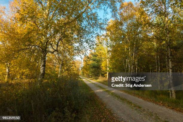 gravel roads - stig stock pictures, royalty-free photos & images