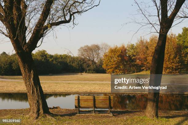 qongqing partk - partk stock pictures, royalty-free photos & images