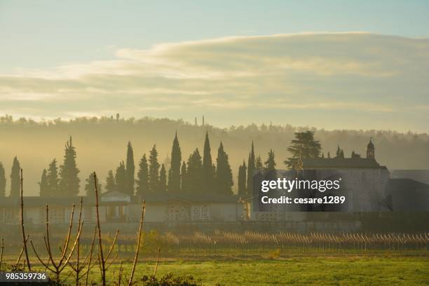 campagne veronesi - campagne stock pictures, royalty-free photos & images