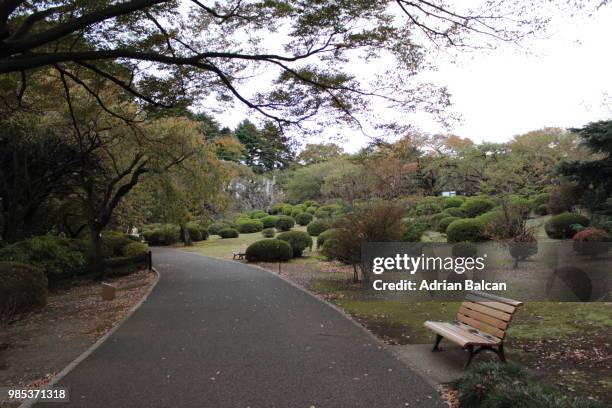 162 Japanese Garden Benches Stock Photos, High-Res Pictures, and Images ...