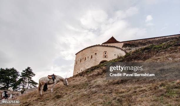 the castle sky - romanian ruins stock pictures, royalty-free photos & images