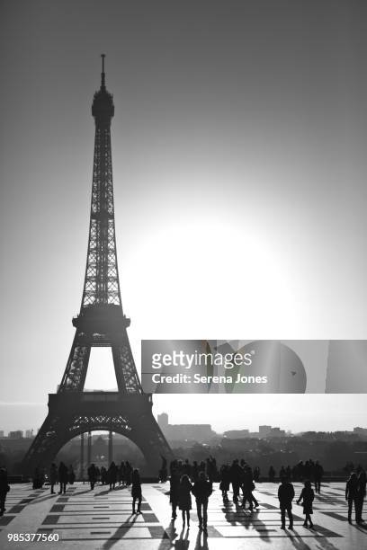 eiffel tower silhouette - frances jones fotografías e imágenes de stock